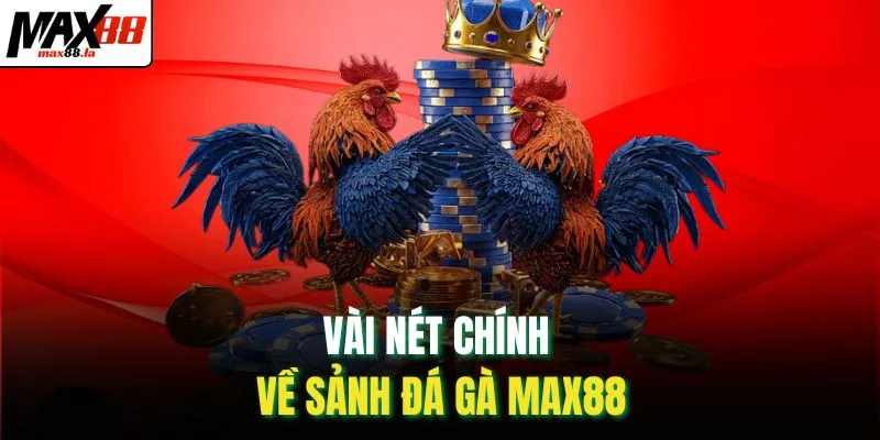 Vài nét chính về sảnh đá gà MAX88